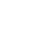 Stainless steel wire